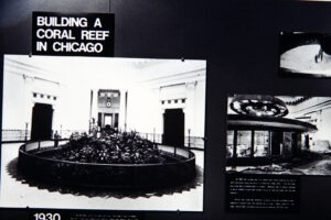 Coral Reef Exhibit