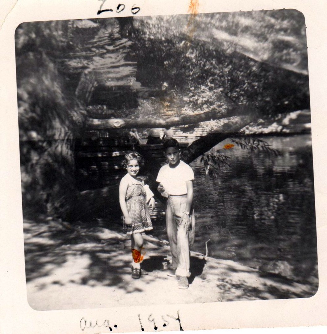 Mark & Fran Rosenthal, Zoo Rookery, 1954