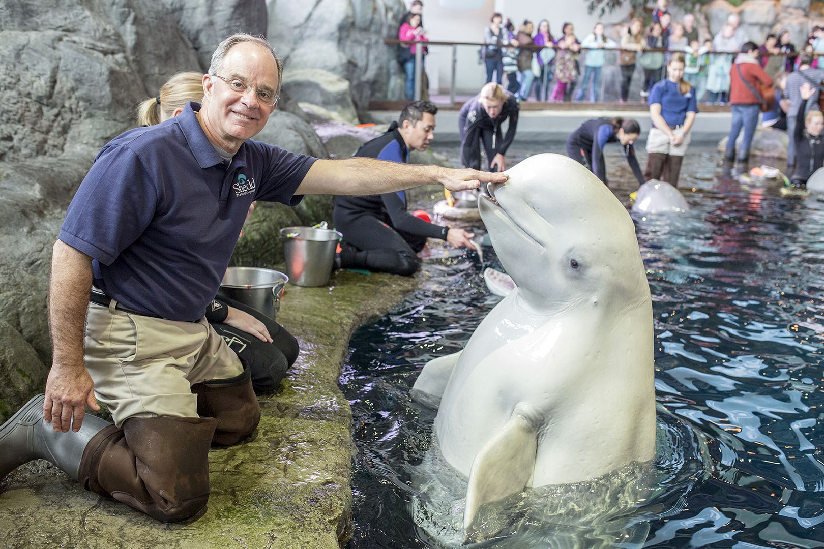 Jim Robinett & Beluga Whale