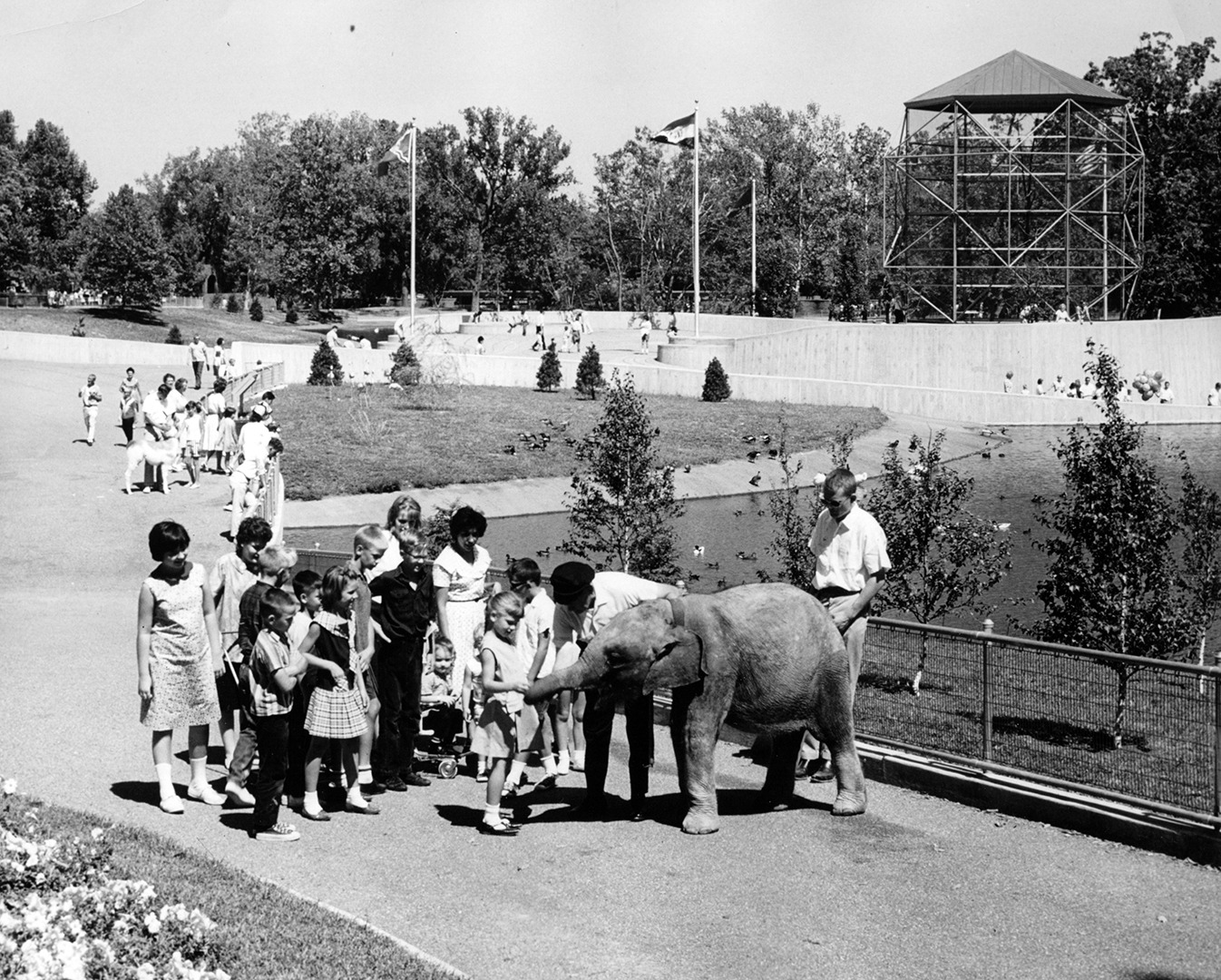 Baby_elephant_with_visitors