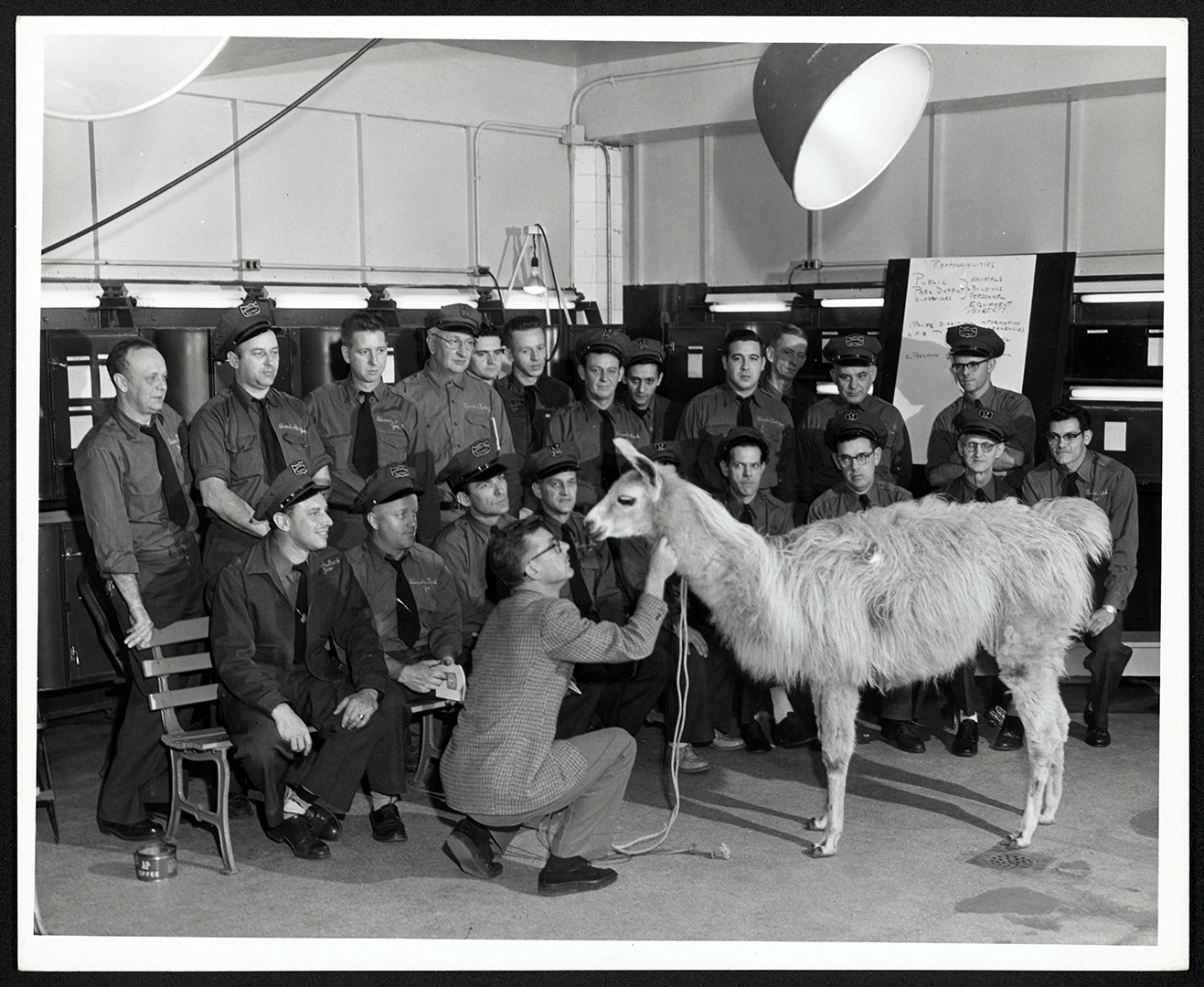 Assistant Director Lear Grimmer with animal keeper staff