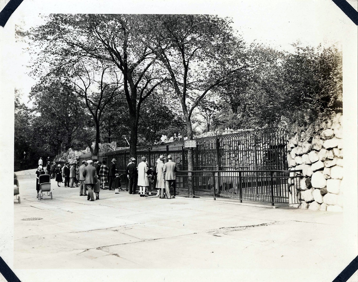 Visitors view bear exhibits