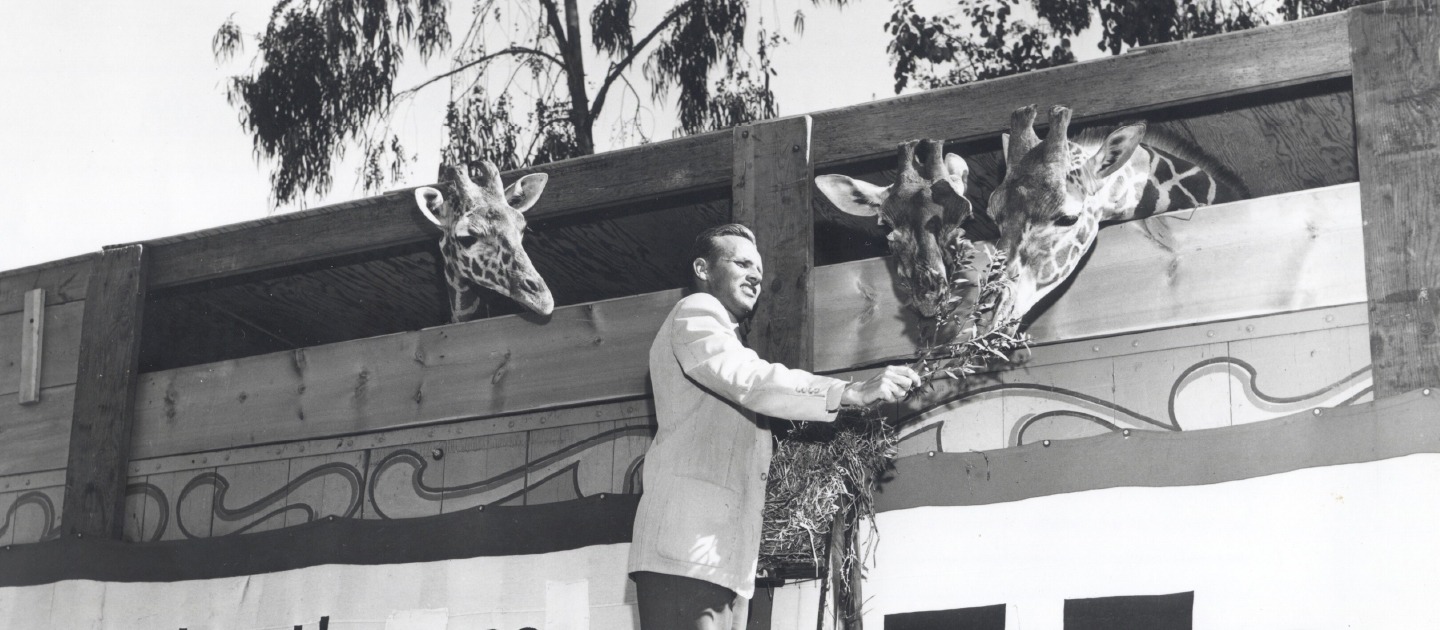 Want to become a Sponsor?