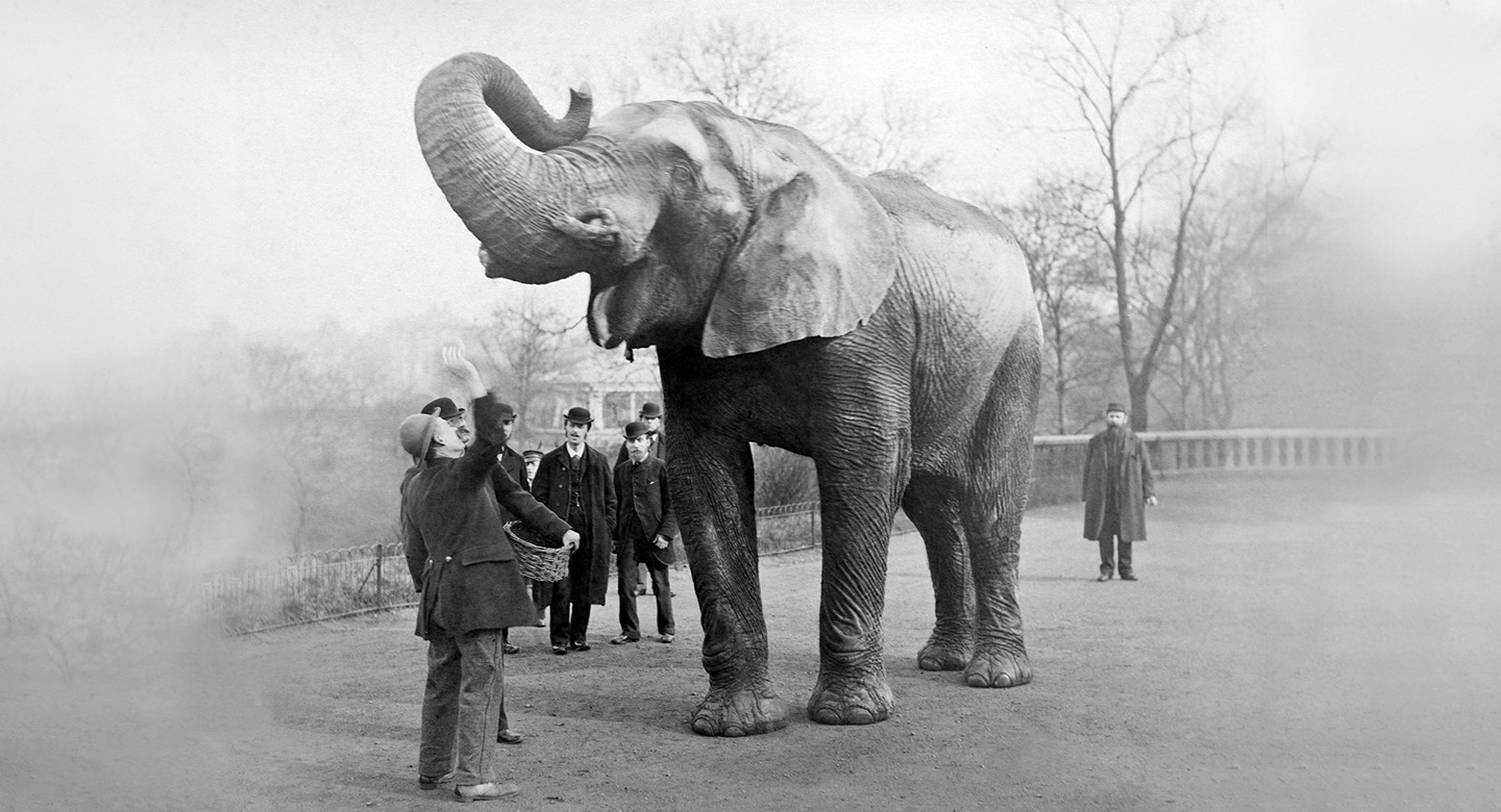 幸运168官方飞艇结果体彩查询网