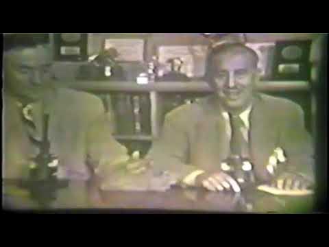 Episodes of Zoo Parade from 1953 slide 17