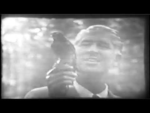 Episodes of Zoo Parade from 1952 slide 12