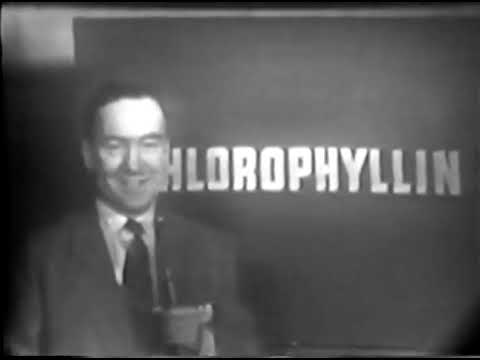 Episodes of Zoo Parade from 1952 slide 19