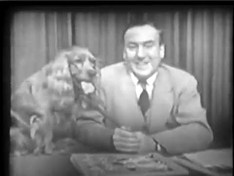 Episodes of Zoo Parade from 1951 slide 23