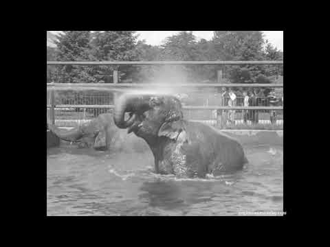 Smithsonian National Zoo slide 1