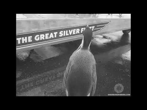 Smithsonian National Zoo slide 2