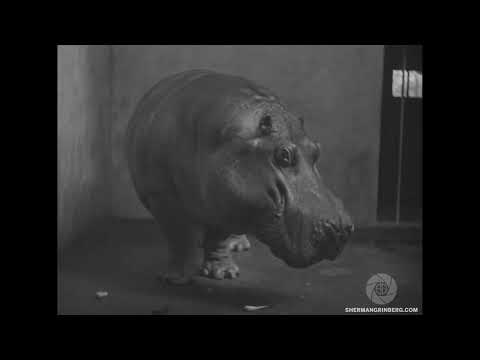 Philadelphia Zoo slide 1