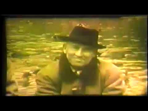 Episodes of Zoo Parade from 1955 slide 5