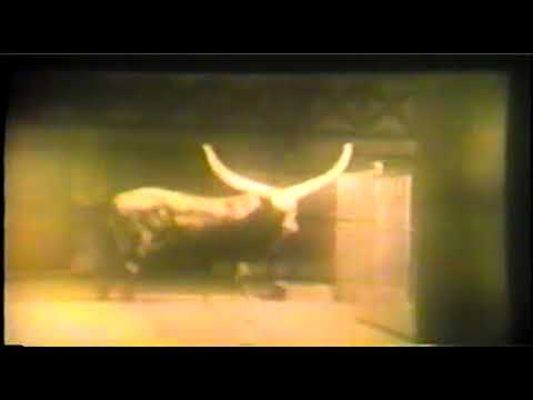 Episodes of Zoo Parade from 1950 slide 8