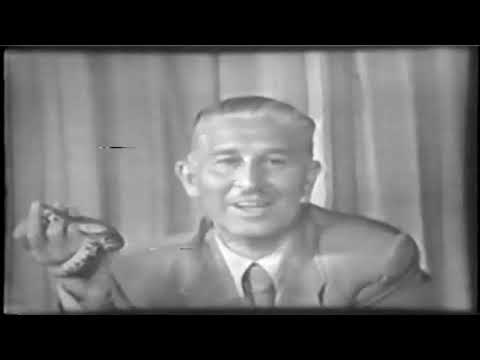 Episodes of Zoo Parade from 1954 slide 9