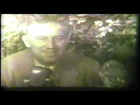 Episodes of Zoo Parade from 1950 slide 9