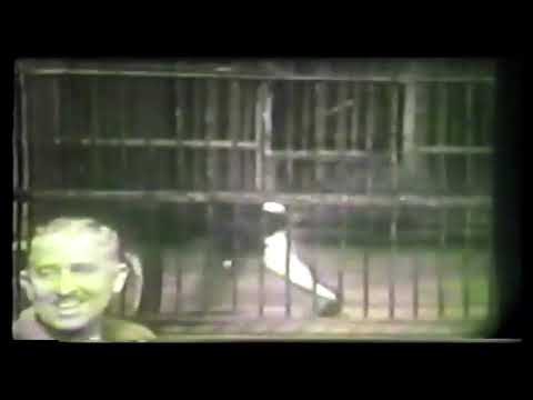 Episodes of Zoo Parade from 1954 slide 24