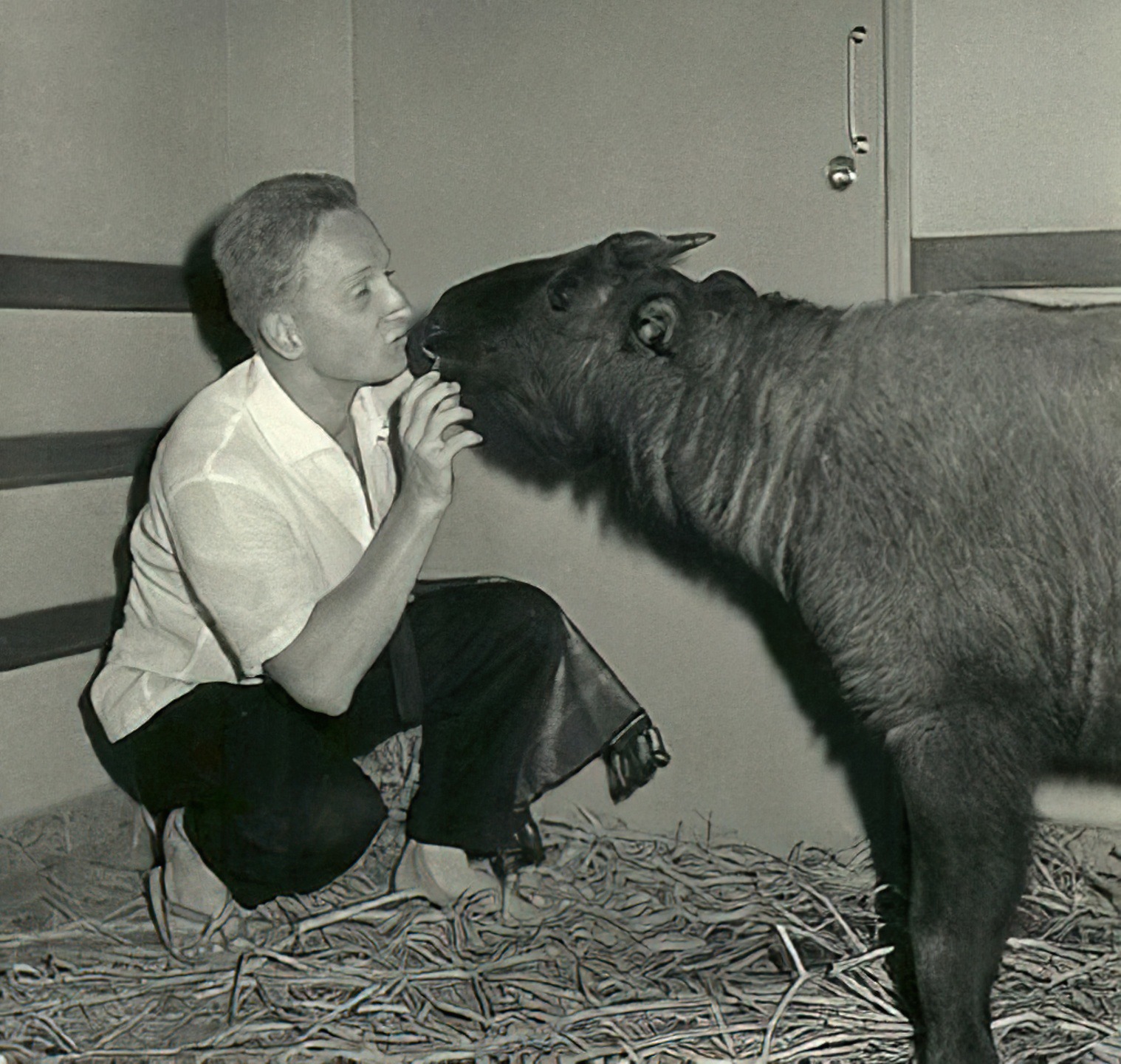 John-Roth-1959-Rangoon-Burmese-Bronx-Zoo