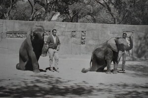 John-Roth-DSC_0012-L