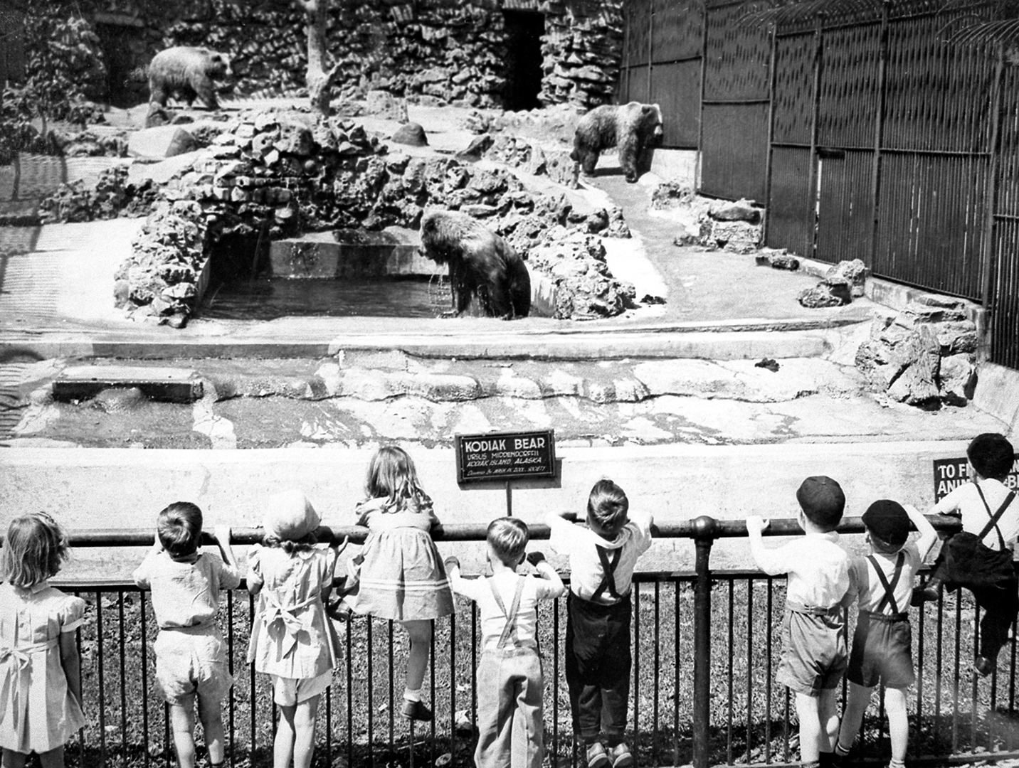 Kids and a Kodiak Bear