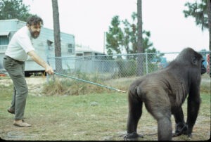 Ulie Seal at Noell’s Ark with Gorilla