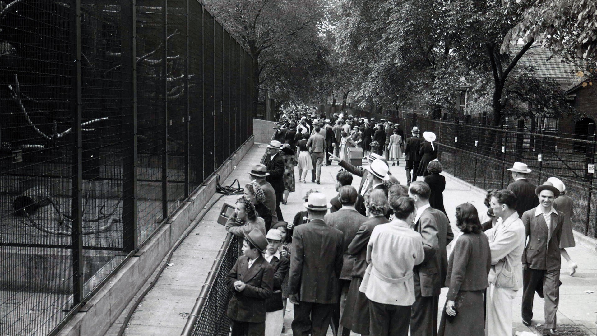 Bird of Prey exhibits