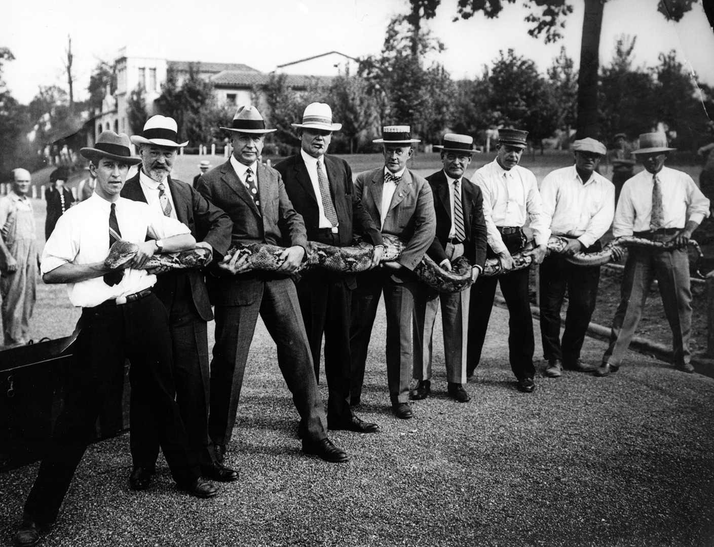 Marlin Perkins and Others