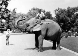 Miss Jim with keeper