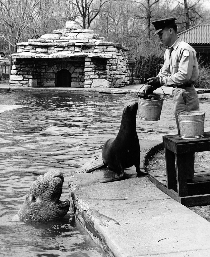 Rich Rouggly feeding sea lions and Moby Dick