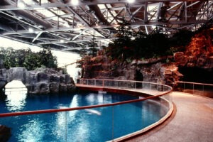 Shedd Aquarium Beluga Tank