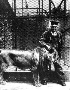 Simba the Lion with Bill Ehr 1930's