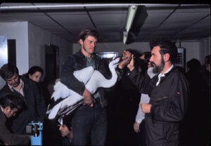 Ulie Seal New Orleans 71