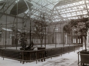 Flying Cage in Bird House