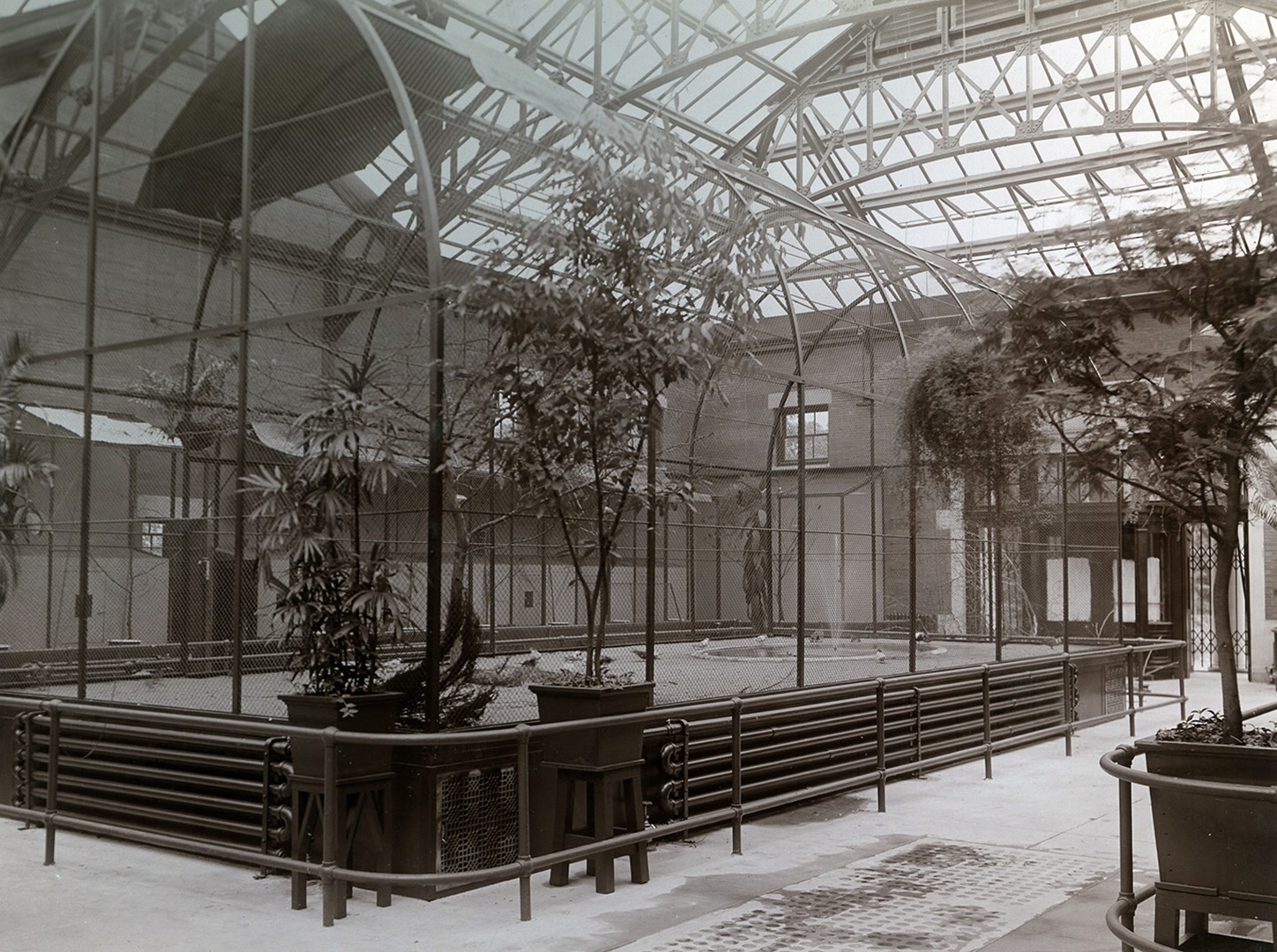 Flying Cage in Bird House