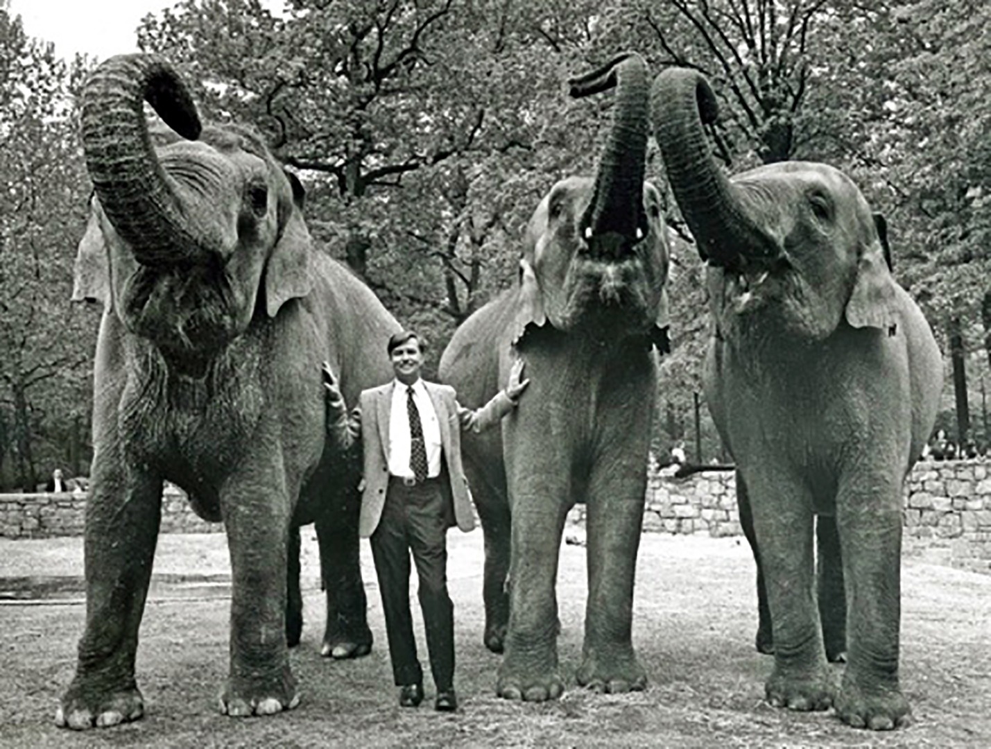 Bill Conway with Elephants